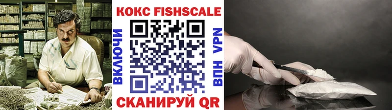 Кокаин Fish Scale  Купить закладки  Гатчина 