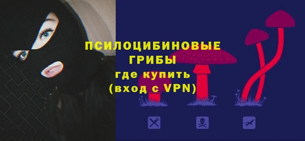 гидра Алзамай
