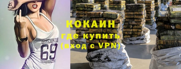 герыч Алексин